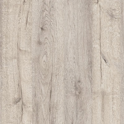 Дуб Бонифаций