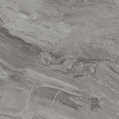 Паладина серая