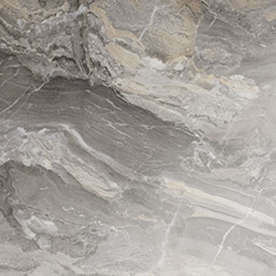 Паладина коричневая, глянец