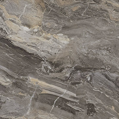 Паладина коричневая