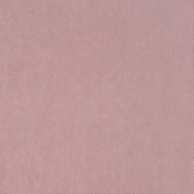 Пыльная роза, велюр